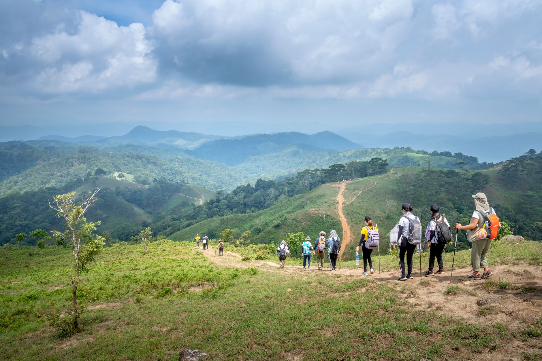 Back view of unrecognizable people with backpacks walking on path located on slope of grassy hill against backdrop of amazing alpine view on