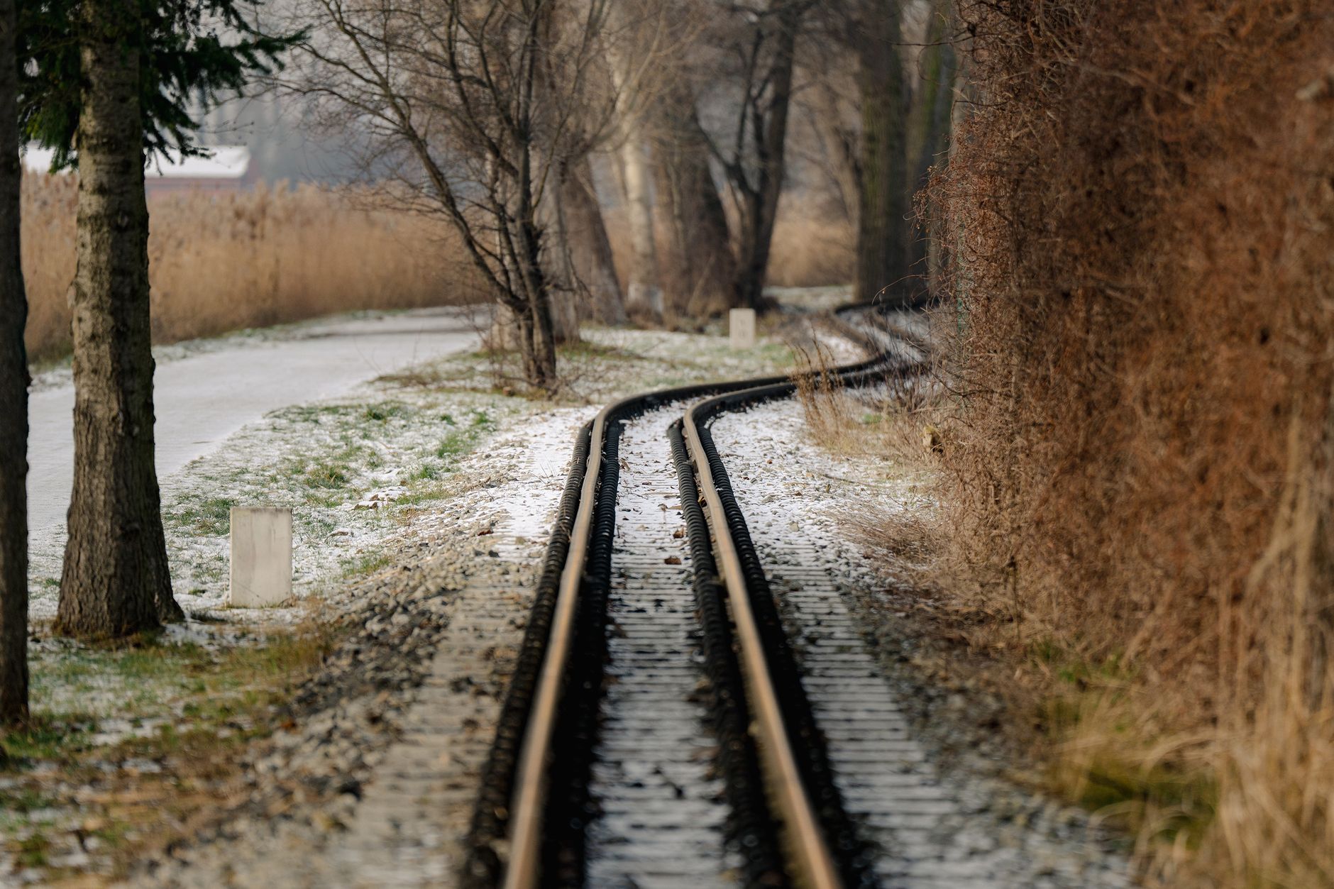 Snow-dusted railway track lined with bare trees, creating a serene winter scene in Poznań, Poland.