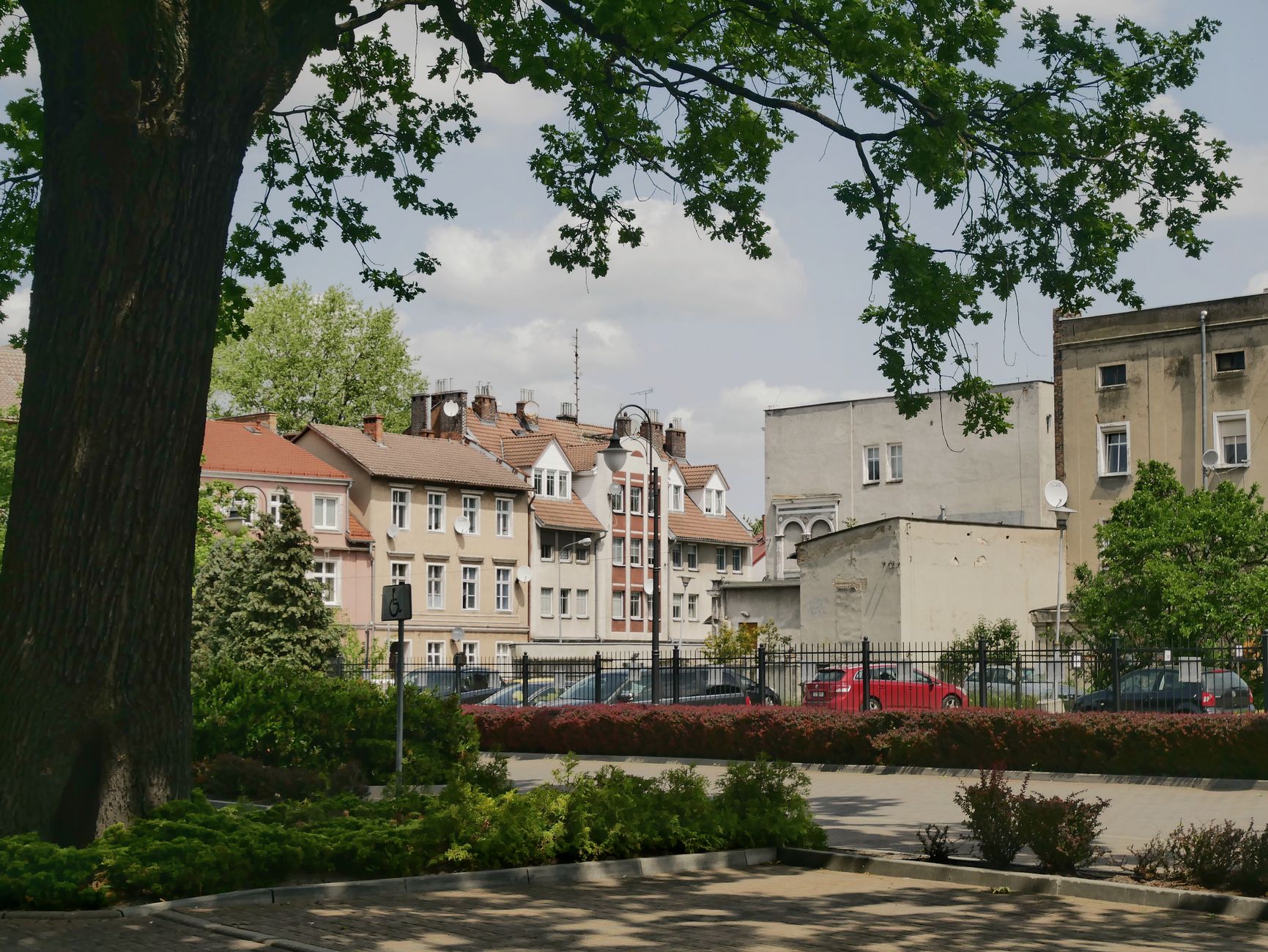 Quaint townhouses seen through park foliage in Zielona Góra, Poland.