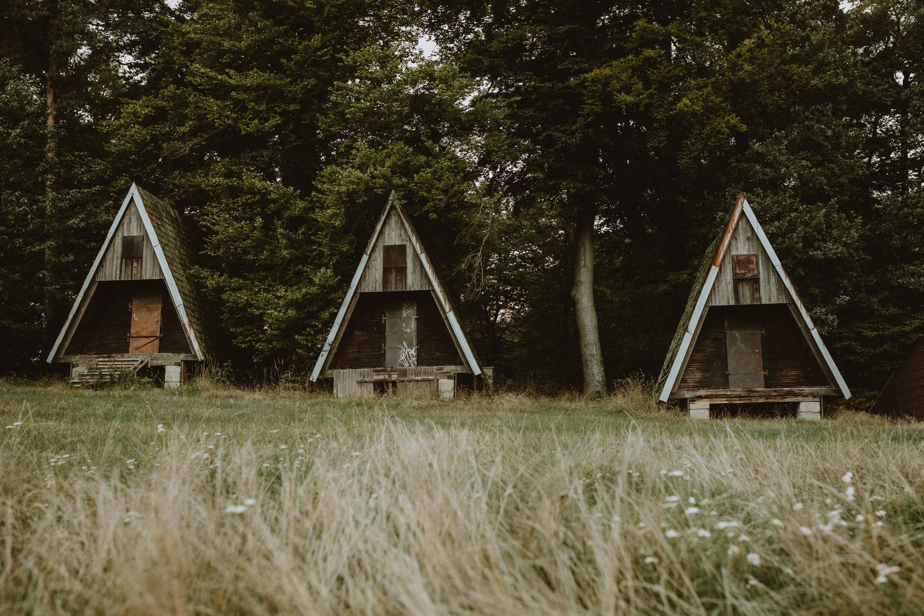 Three A-frame wooden cabins nestled in a peaceful forest setting, ideal for camping or retreats.