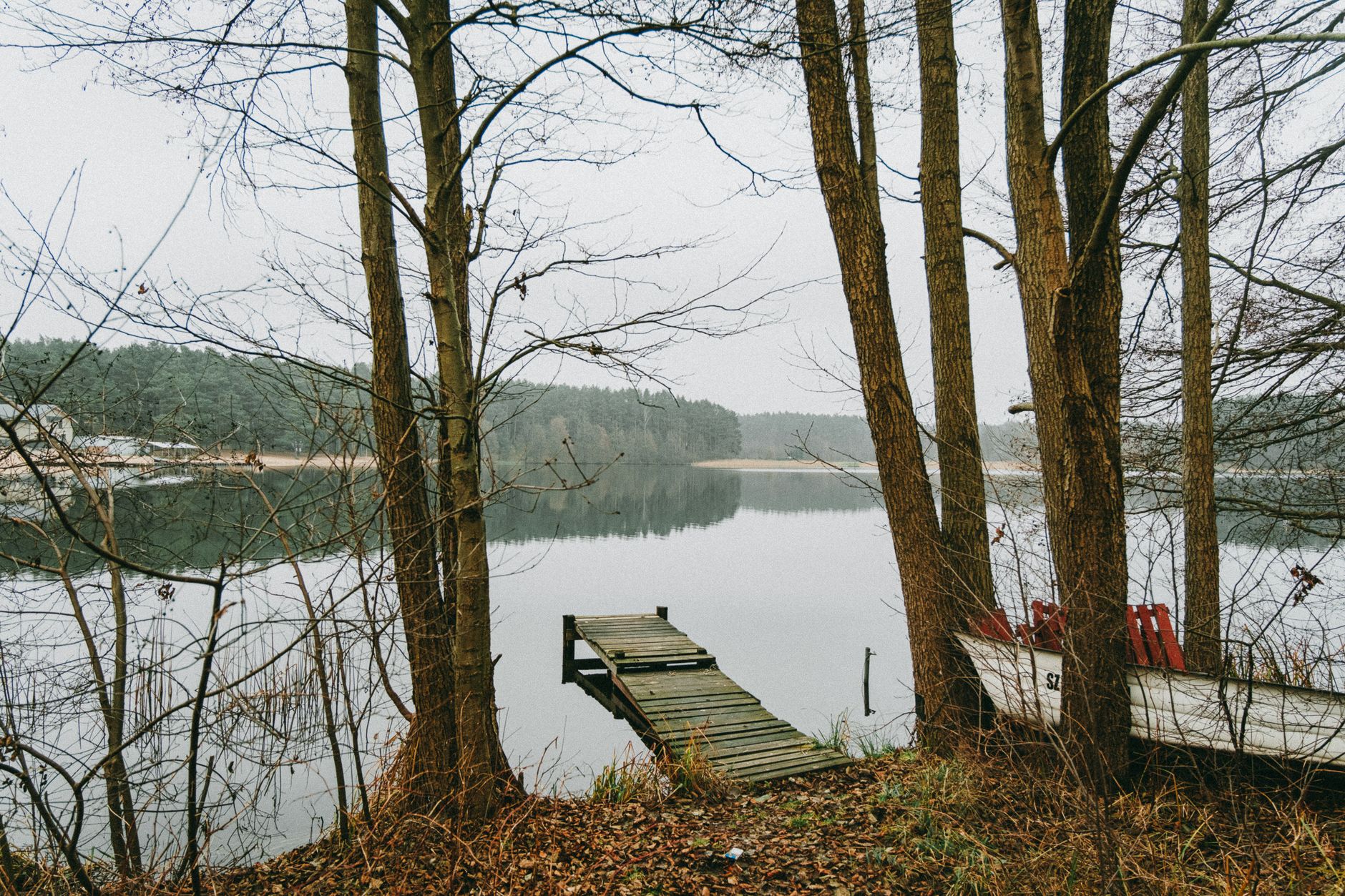 Serene view of a lakeside pier and boat surrounded by trees in Ocypel, Poland.