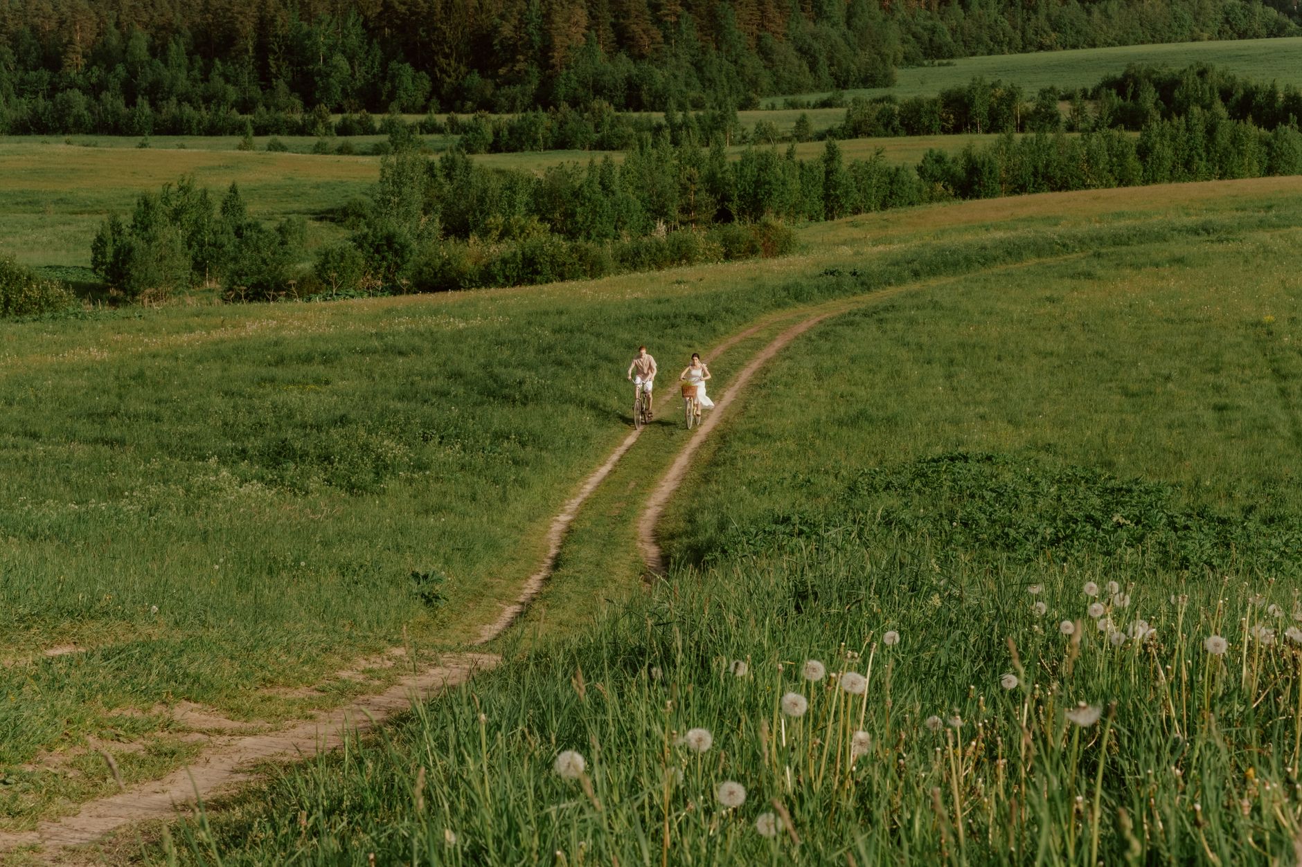 A couple enjoys a summer day bicycling on a scenic country path surrounded by lush greenery.