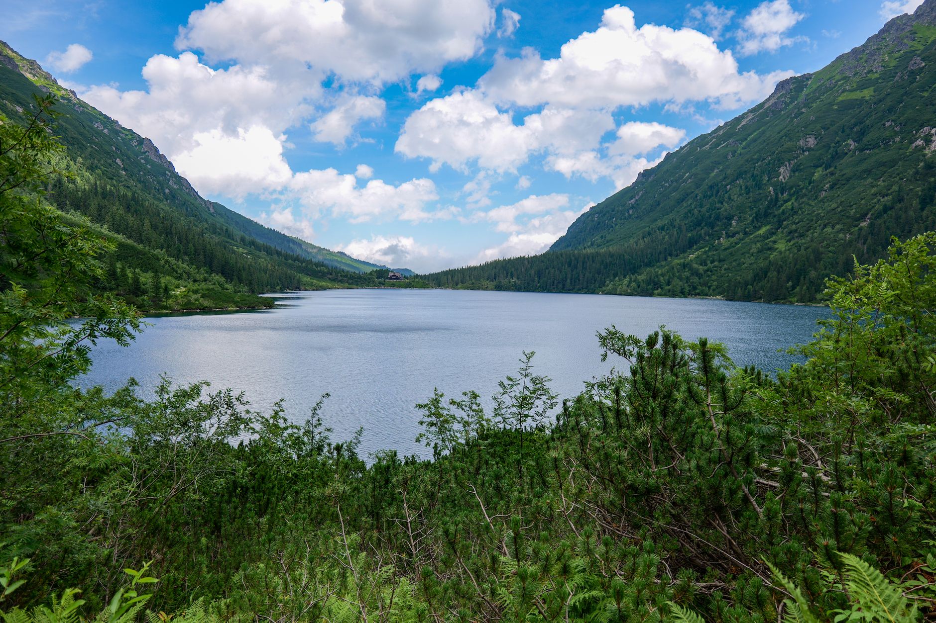 Stunning view of a serene lake surrounded by lush greenery in Tatra Mountains, Poland.