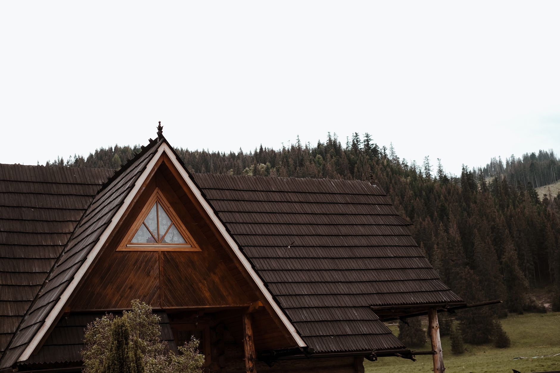 Charming wooden cabin nestled in the lush forests of Zakopane, Poland.