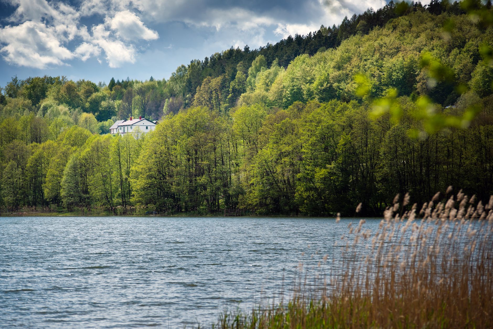 Tranquil lake view surrounded by lush spring forest in Szymbark, Poland.