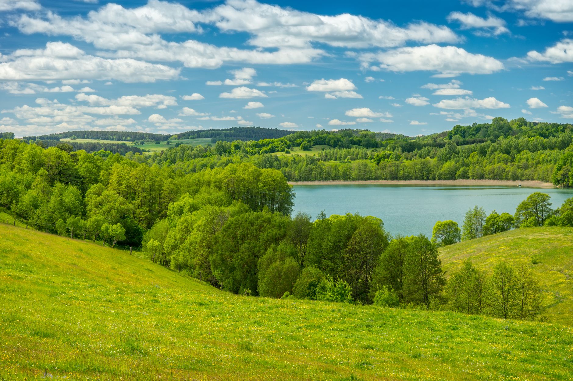 A picturesque view of rolling green hills and a lake in Podlasie, Poland, under a clear blue sky.