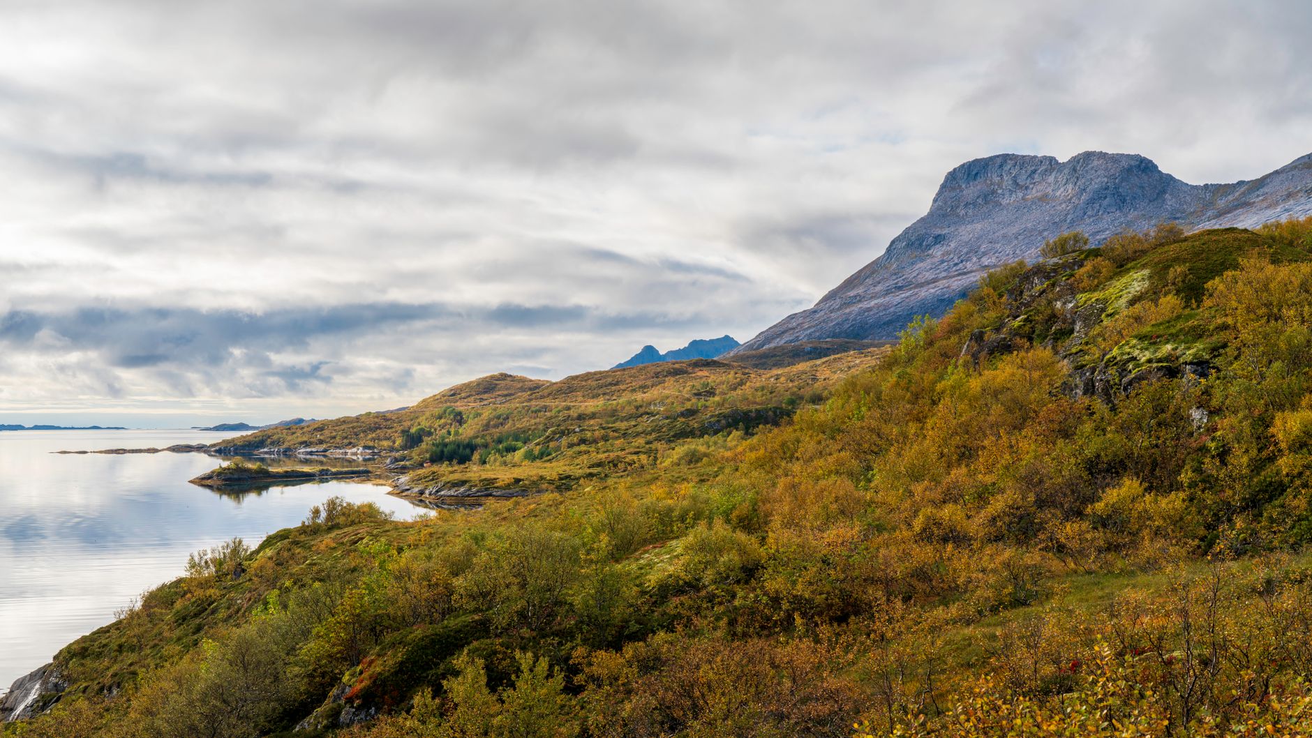 Stunning view of Lofoten Islands in autumn, featuring colorful foliage and scenic mountains.