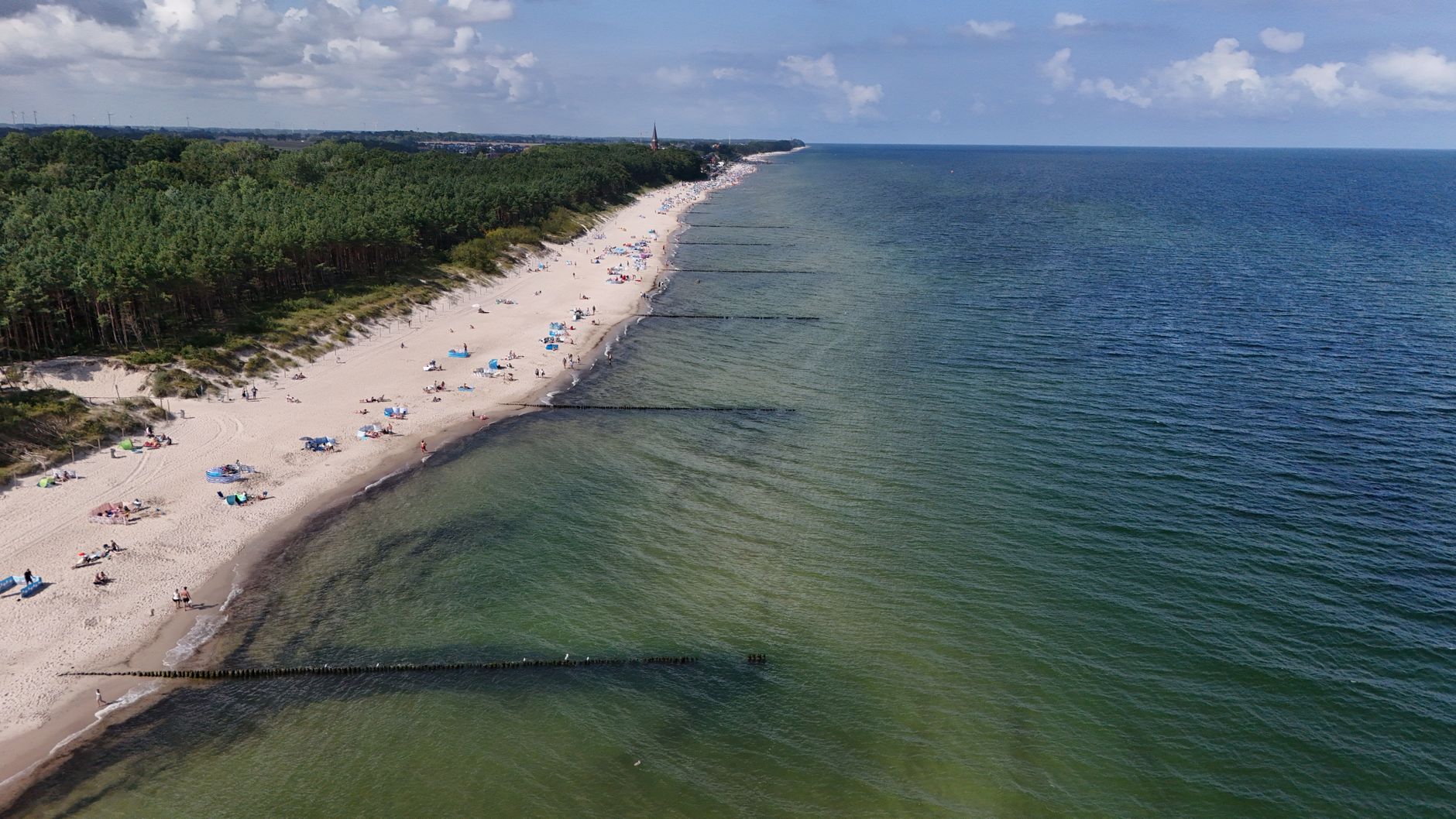 Stunning aerial view of a beautiful beach with lush green forest and calm blue ocean.