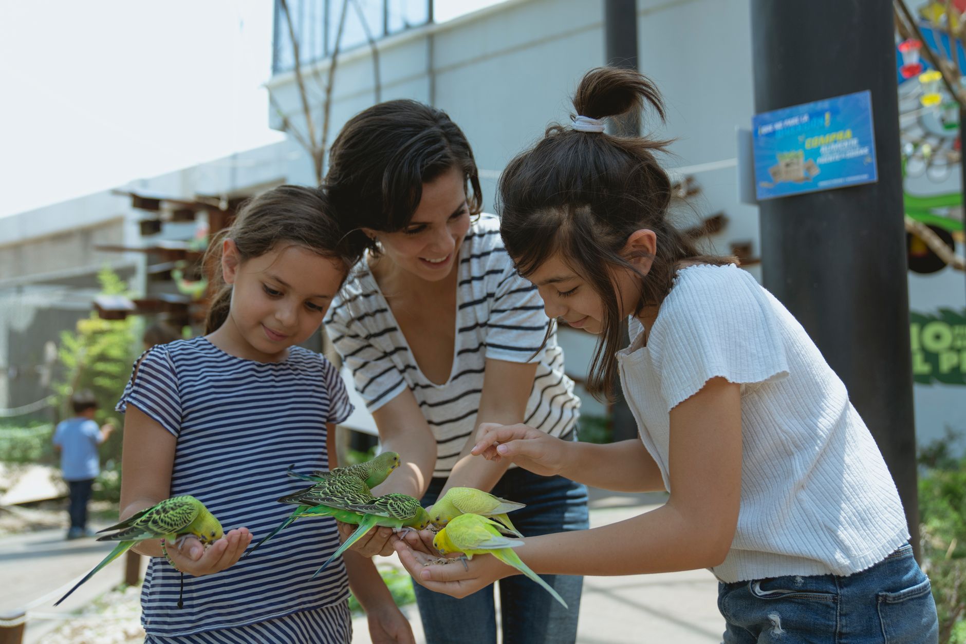 A woman and two girls feed colorful parakeets at an outdoor aviary.