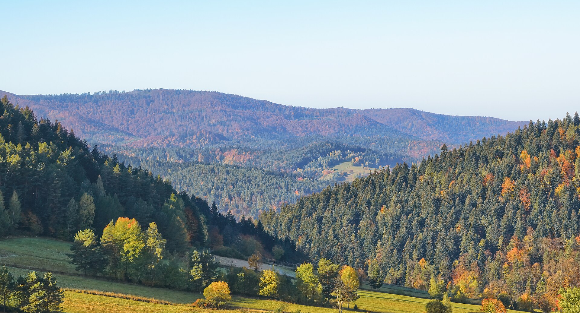 Autumn panorama of the Beskid Mountains on a sunny morning. A view from the Kotowniki peak in Low Beskid to the Łabowska Hala Range and the 