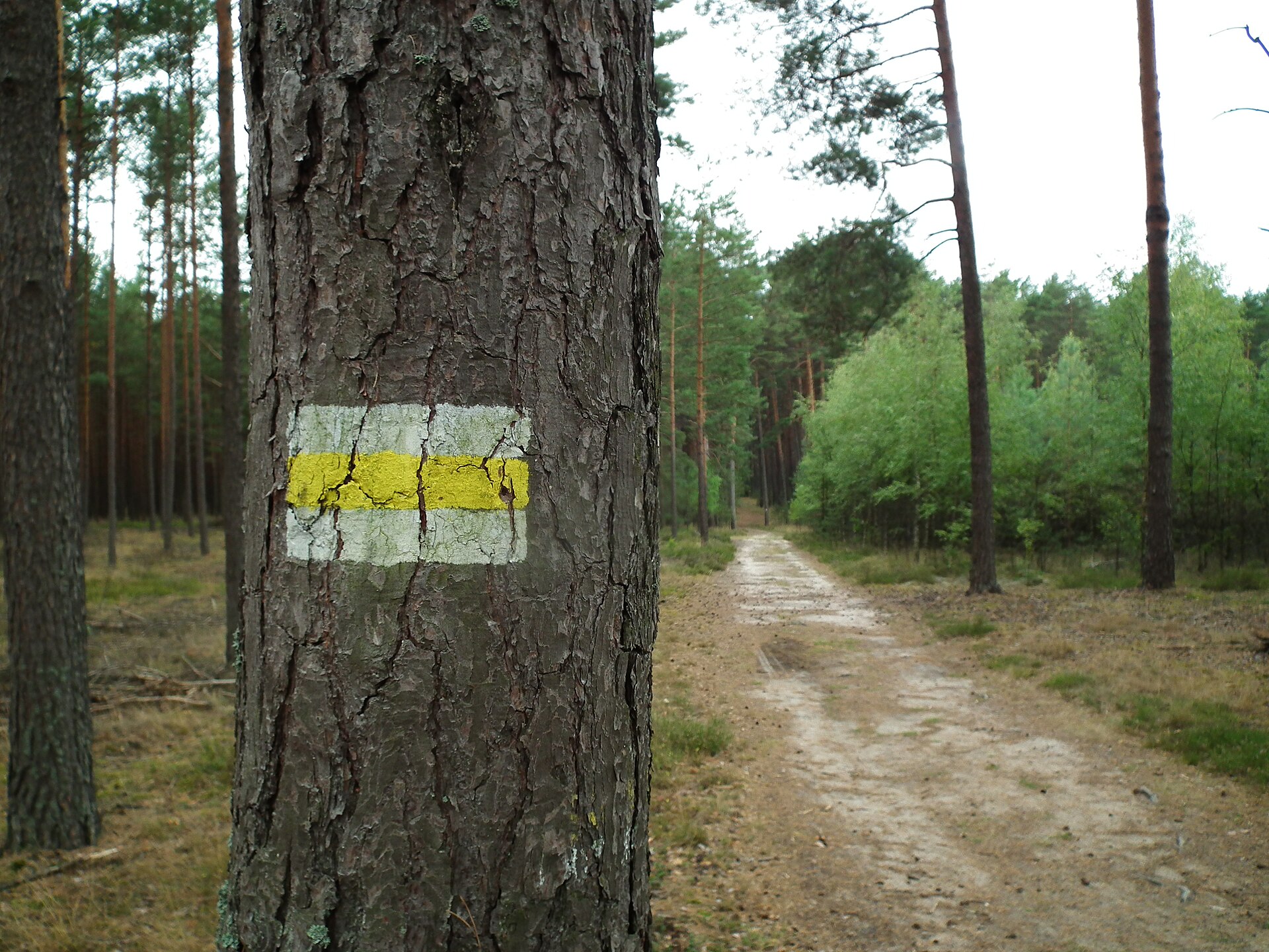 Żółty szlak Jana Pawła II nad jez. Krąpsko-Radlino.