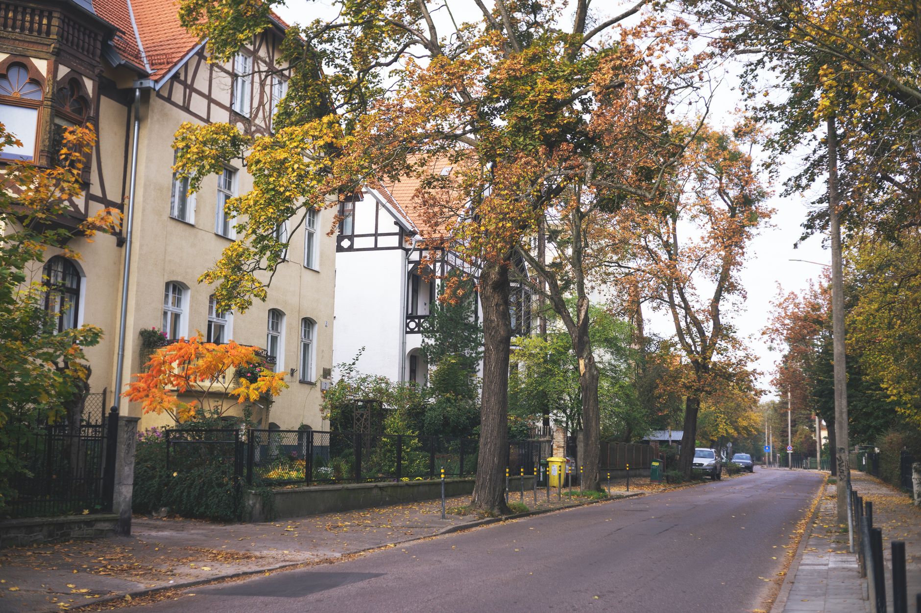 Peaceful European street view with autumn foliage and historic architecture.